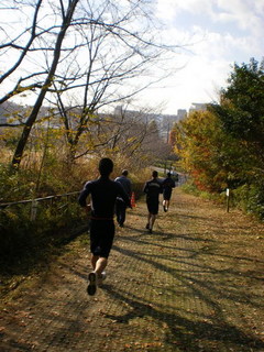 kouyou run heiwa D.jpg