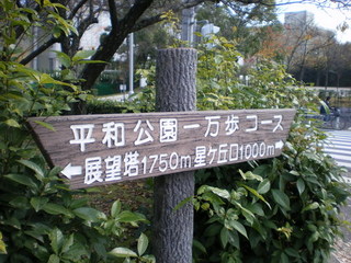 kouyou run heiwa@.JPG
